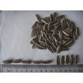 New Crop High Quality Sunflower Seeds